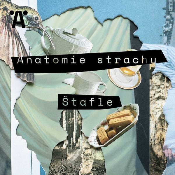 Anatomie strachu